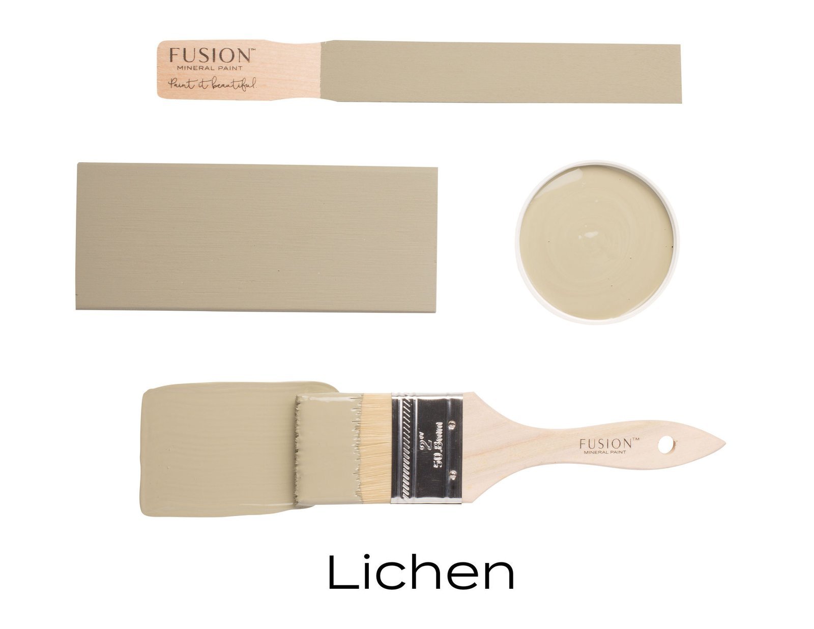 Lichen - Afbeelding 3