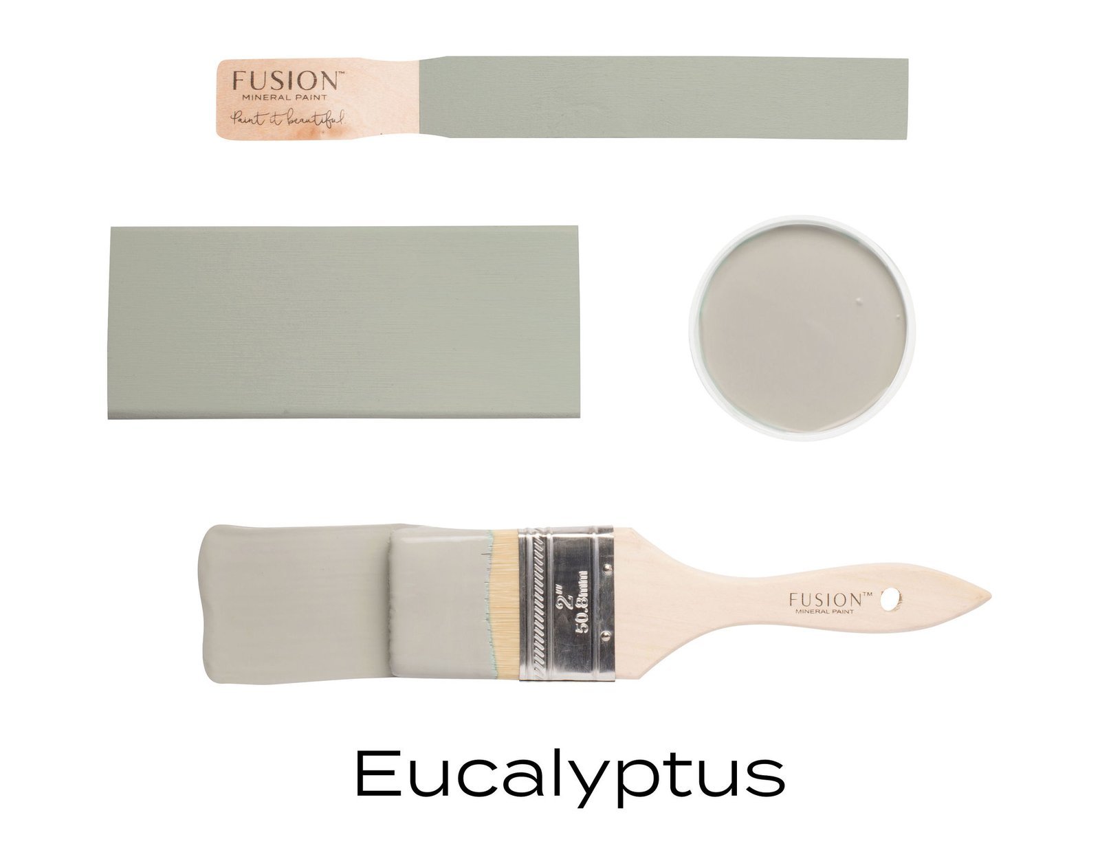 Eucalyptus - Afbeelding 3